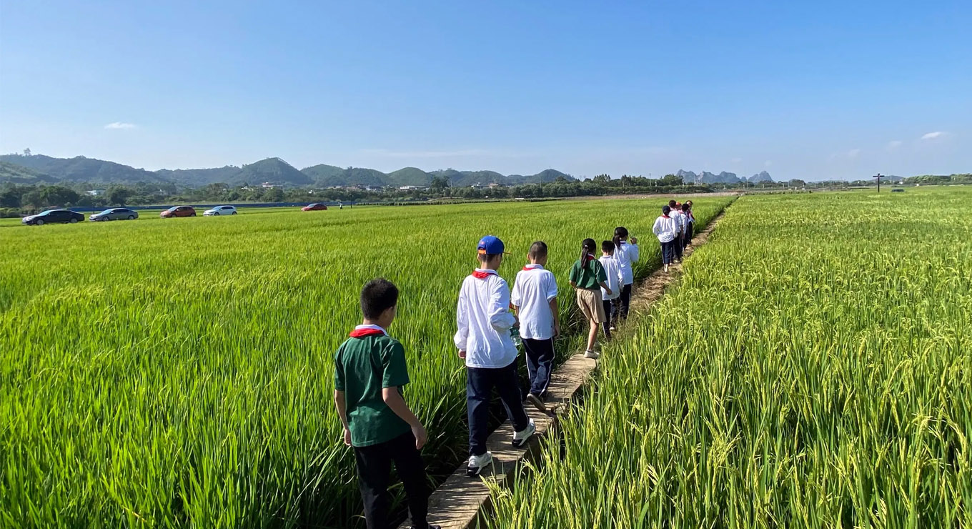 生态农业科普研学基地