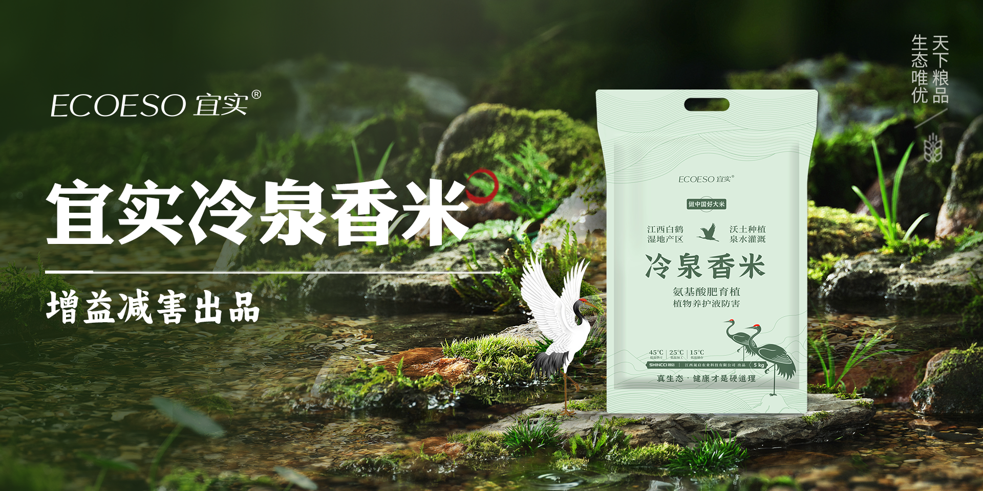 冷泉香米